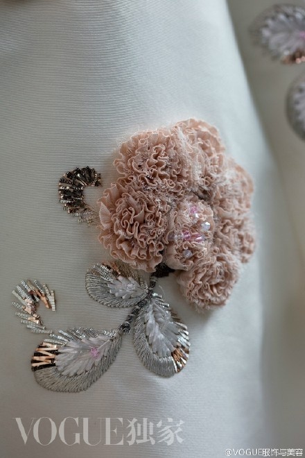 Luu Diec Phi tai Cannes anh 8