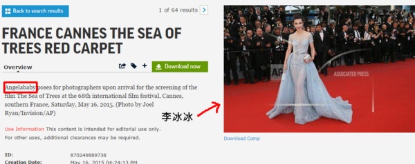 Sao chau A tai Cannes anh 5