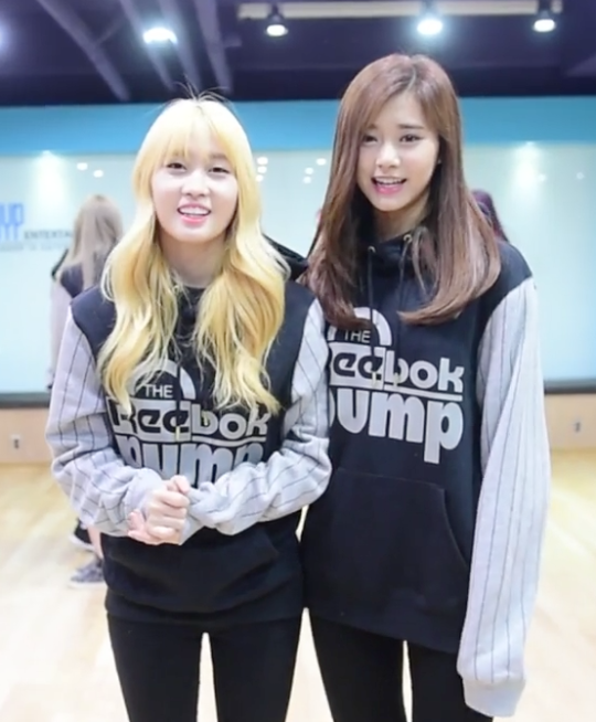 10 điều về TWICE ảnh 8 10 dieu ve TWICE anh 8