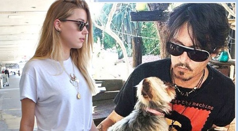 Johnny Depp tranh quyen nuoi cho cung voi vo tre hinh anh