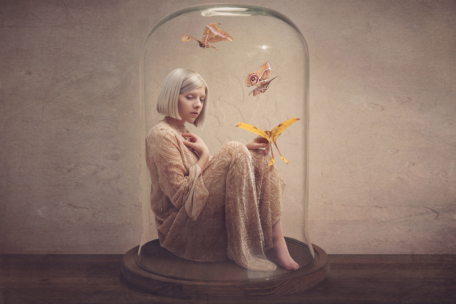 Nỗi buồn lấp lánh trong âm nhạc của Aurora ảnh 1 Noi buon lap lanh trong am nhac cua Aurora anh 1