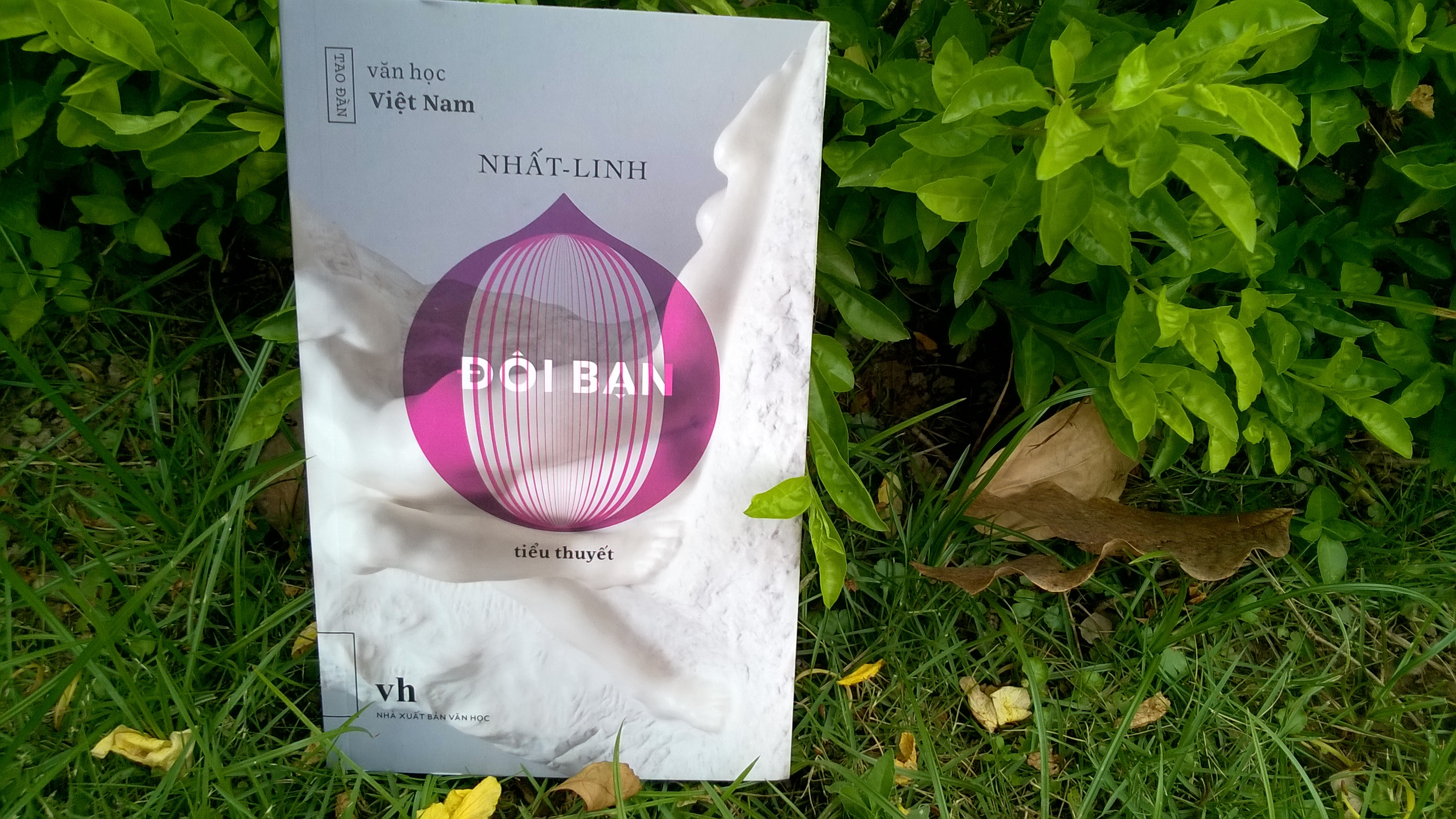 Nhat Linh va nhung cach tan trong ‘Doi ban’ hinh anh