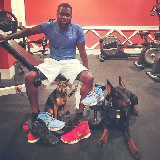 Sao Hollywood va giay sneakers anh 3