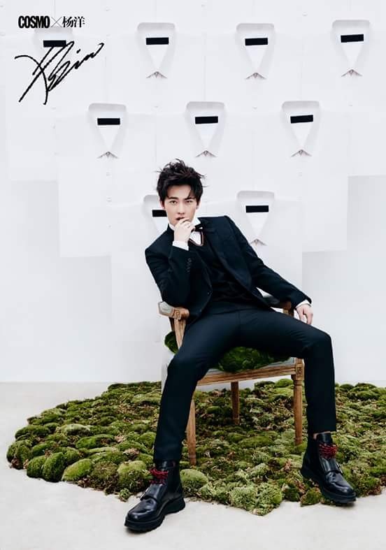 Luu Diec Phi va Duong Duong anh 8