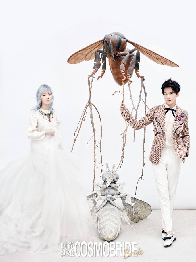 Luu Diec Phi va Duong Duong anh 2