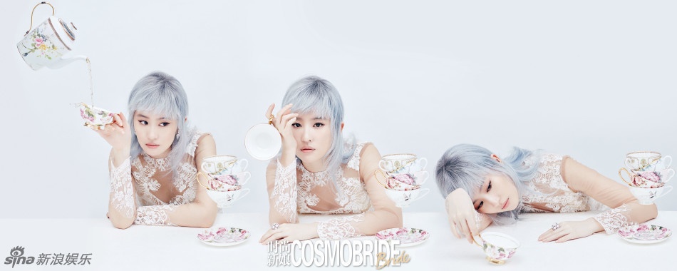 Luu Diec Phi va Duong Duong anh 6