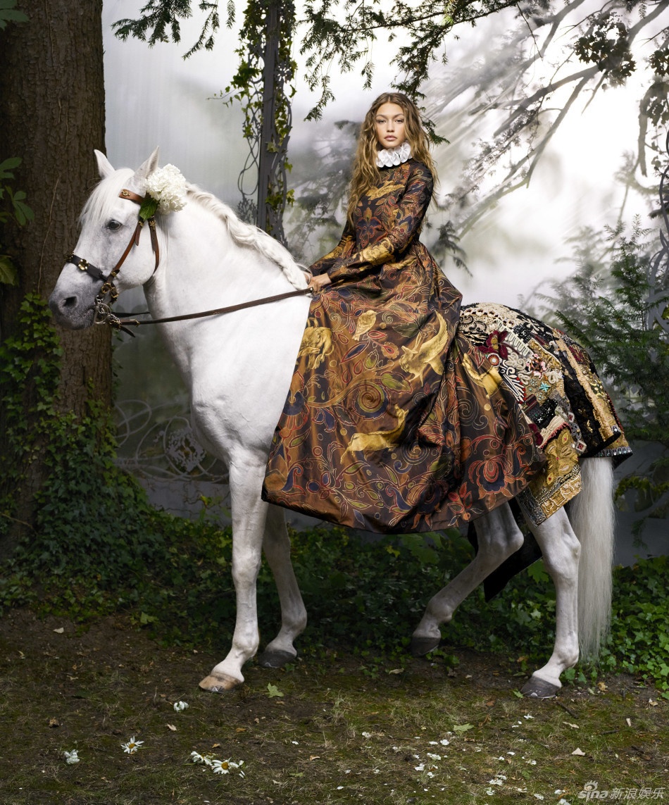 bo anh cua Gigi Hadid anh 2