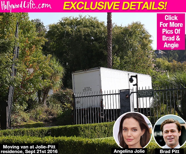 Angelina Jolie don do,  mang con den Malibu anh 1