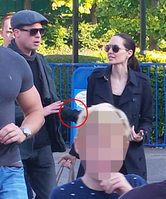 Brad Pitt bi dieu tra vi toi bao hanh vo con anh 2