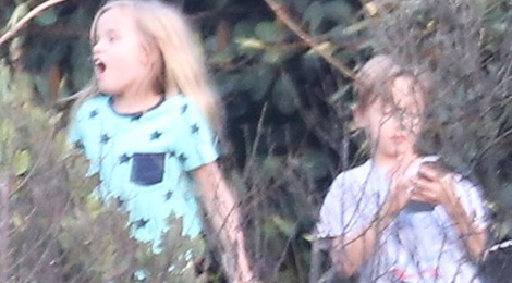 Cap song sinh cua Brangelina vui dua o biet thu rieng hinh anh