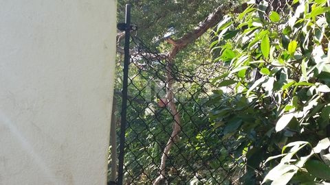 anh ke tan cong nha miranda kerr anh 3