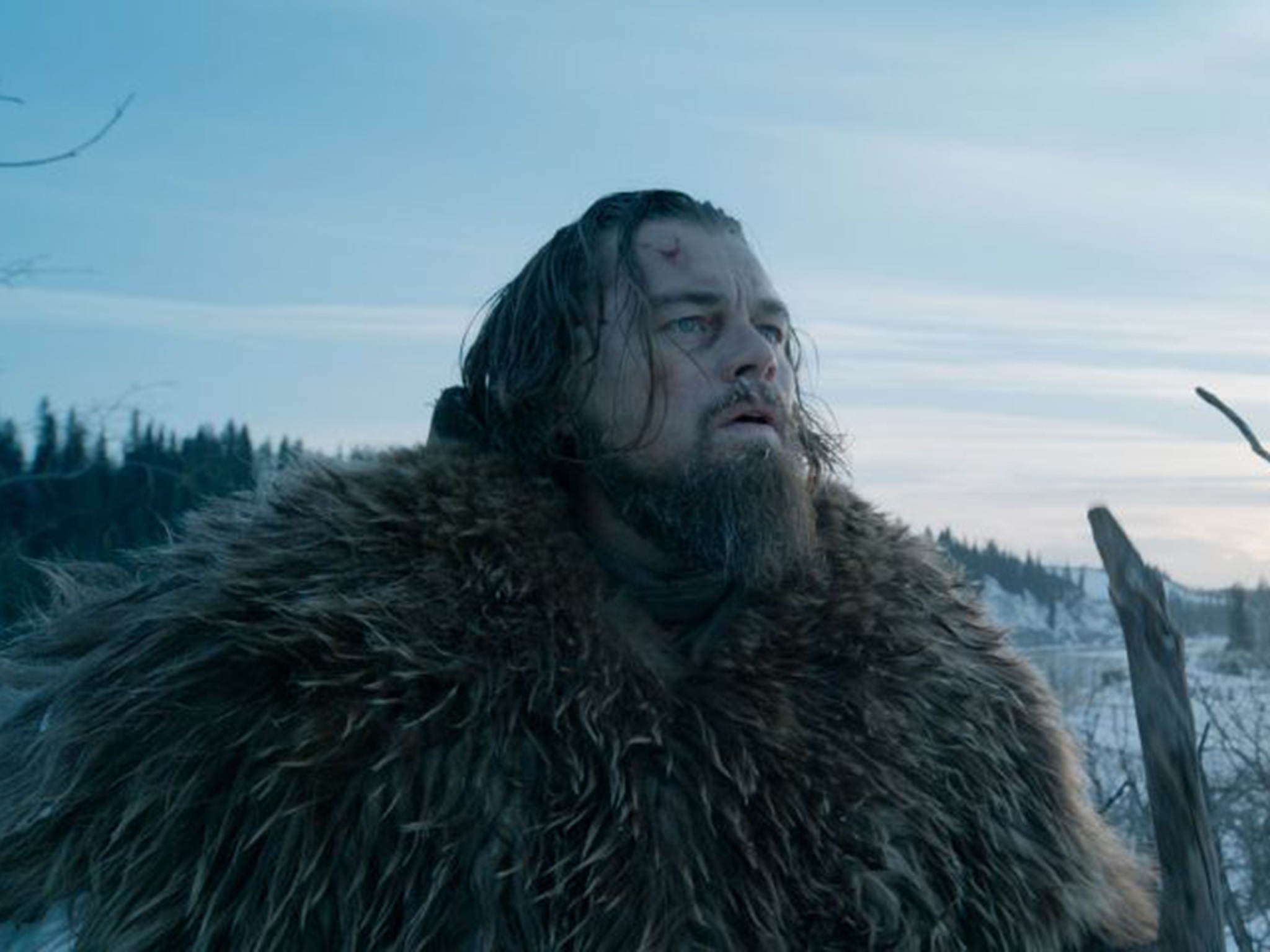 Leonardo DiCaprio suýt chết ảnh 2 Leonardo DiCaprio suyt chet anh 2