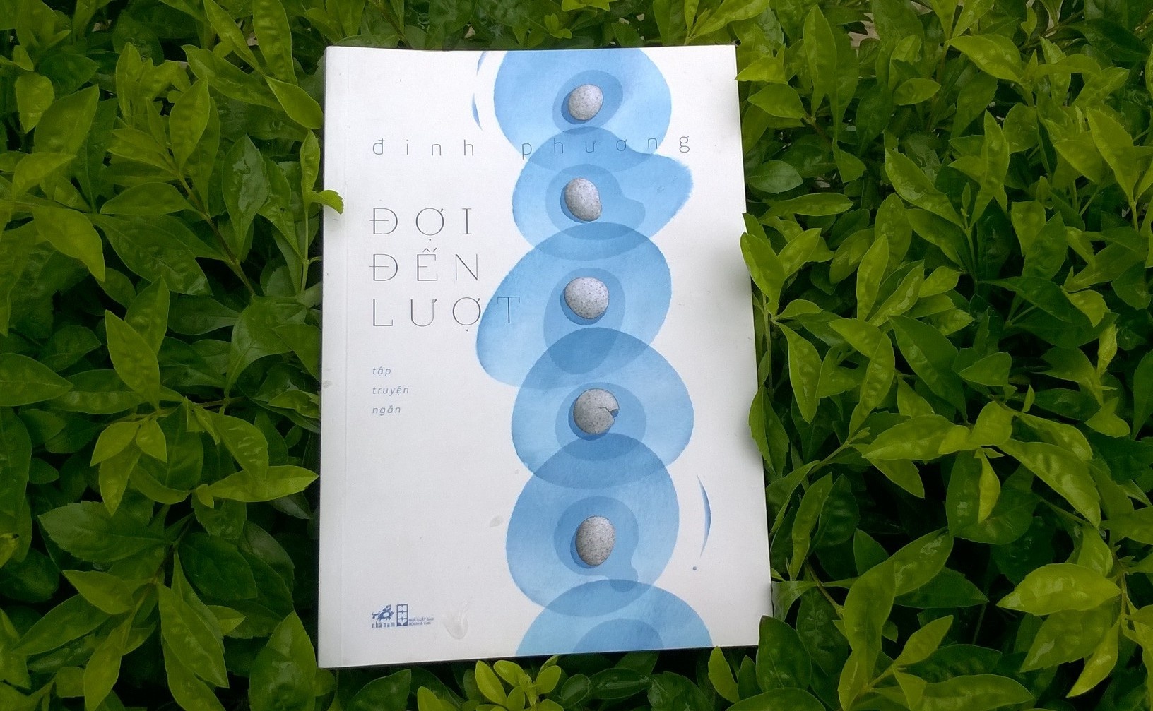 Dinh Phuong va chuyen rong ruoi trong goc khuat con nguoi hinh anh