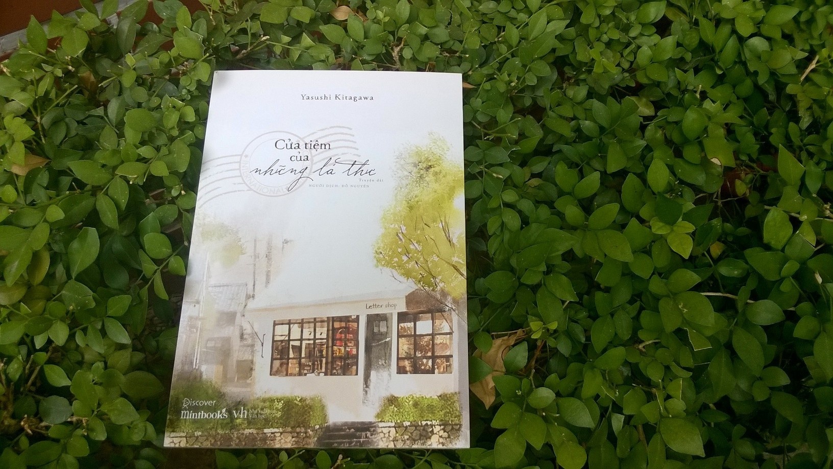 Cua tiem cua nhung la thu anh 1