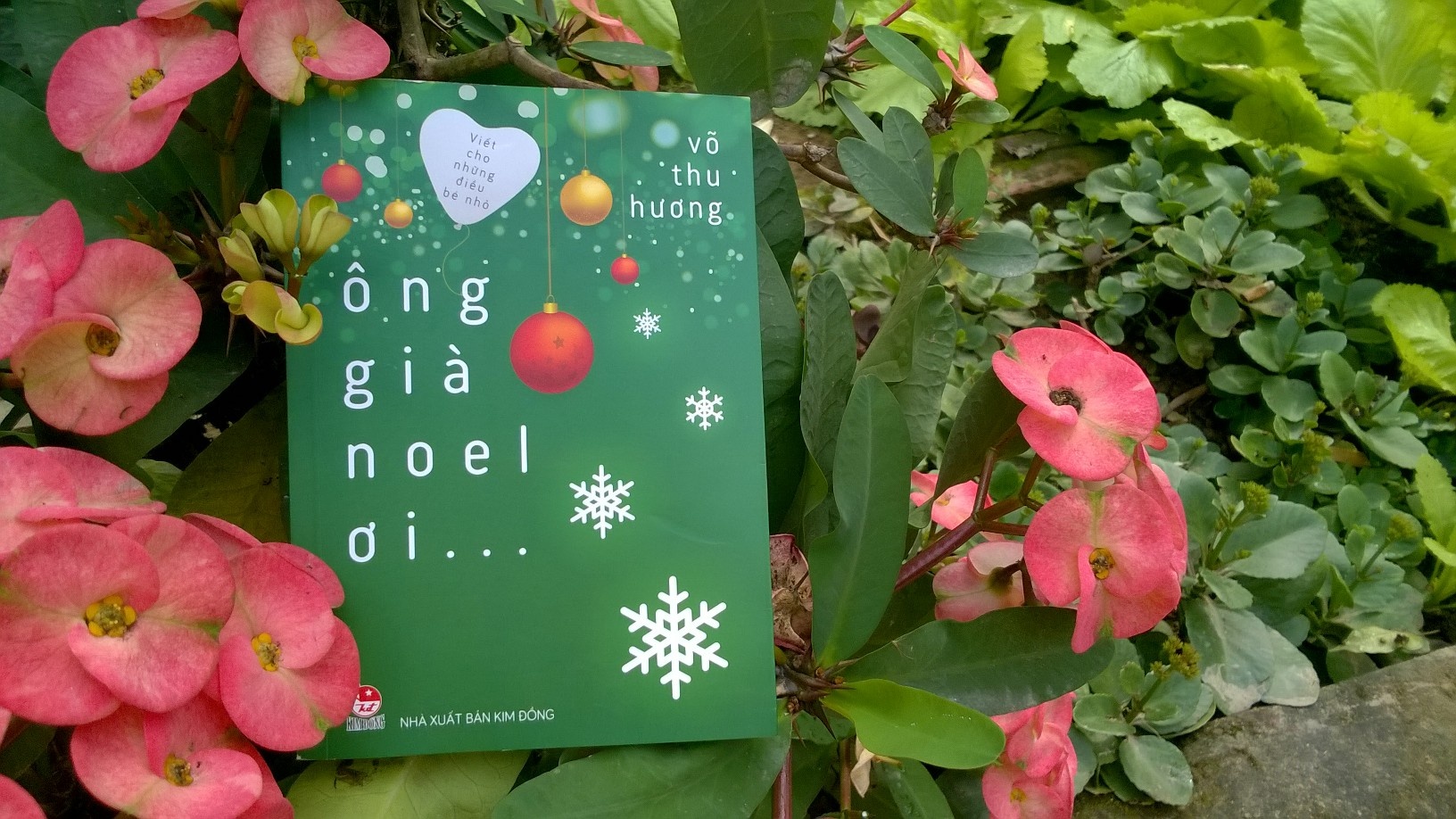 Giang sinh am ap yeu thuong voi ‘Ong gia Noel oi…’ hinh anh