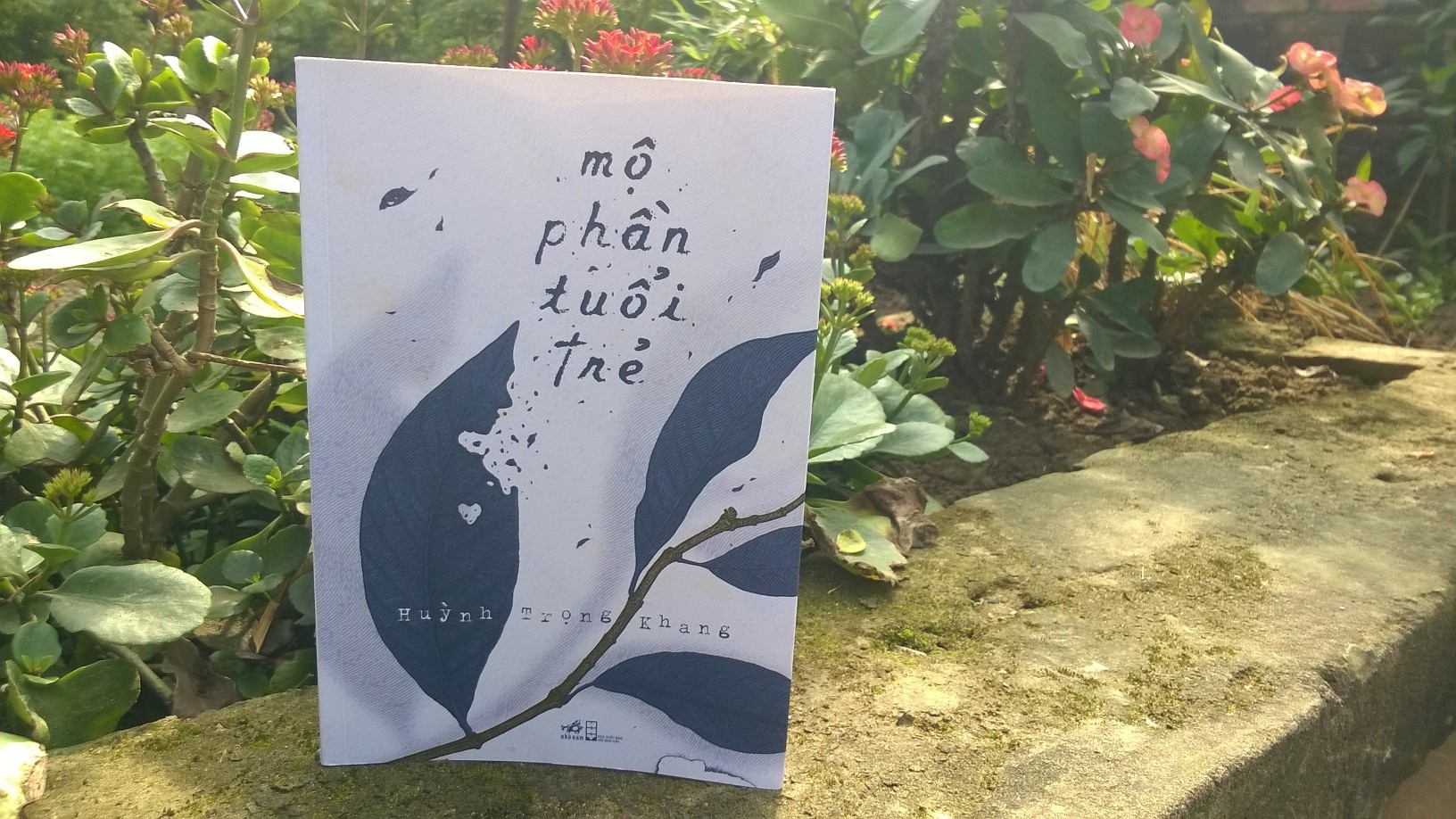 'Mo phan tuoi tre': Noi nhung mam hoa chim trong tuyet vong hinh anh