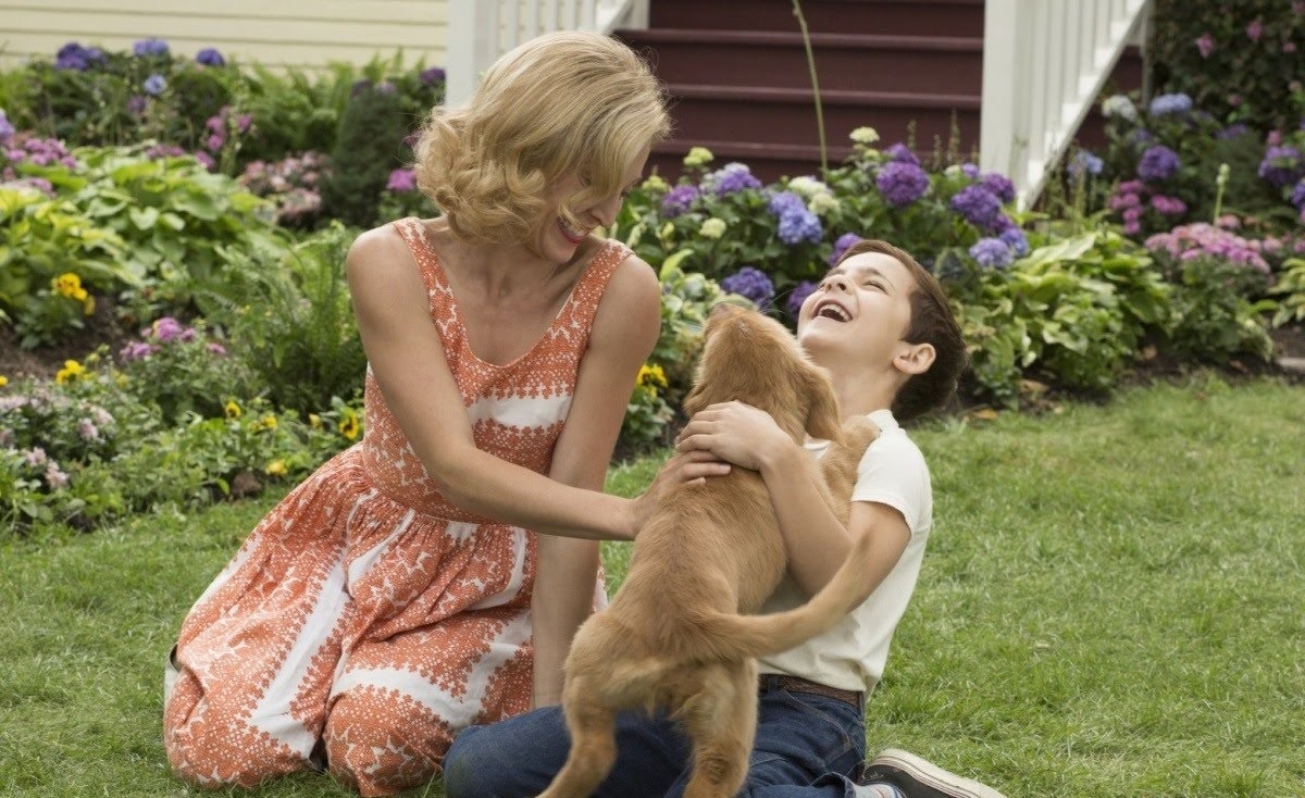 A Dog's Purpose,  ngược đãi động vật ảnh 2 A Dog's Purpose,  nguoc dai dong vat anh 2