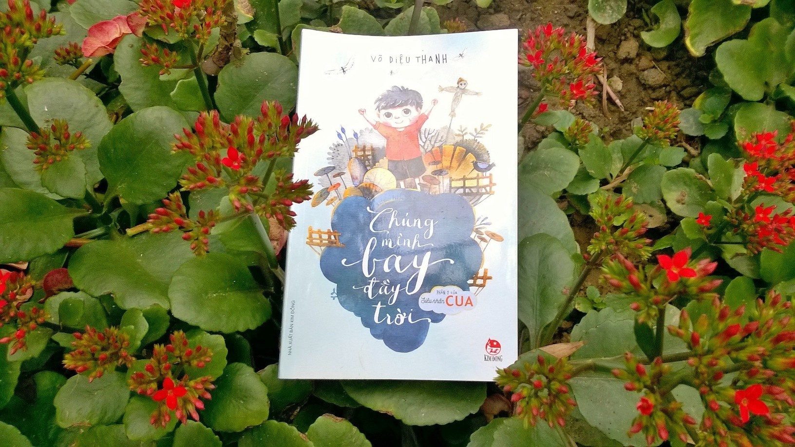 Bay cao nhung uoc mo tho be hinh anh