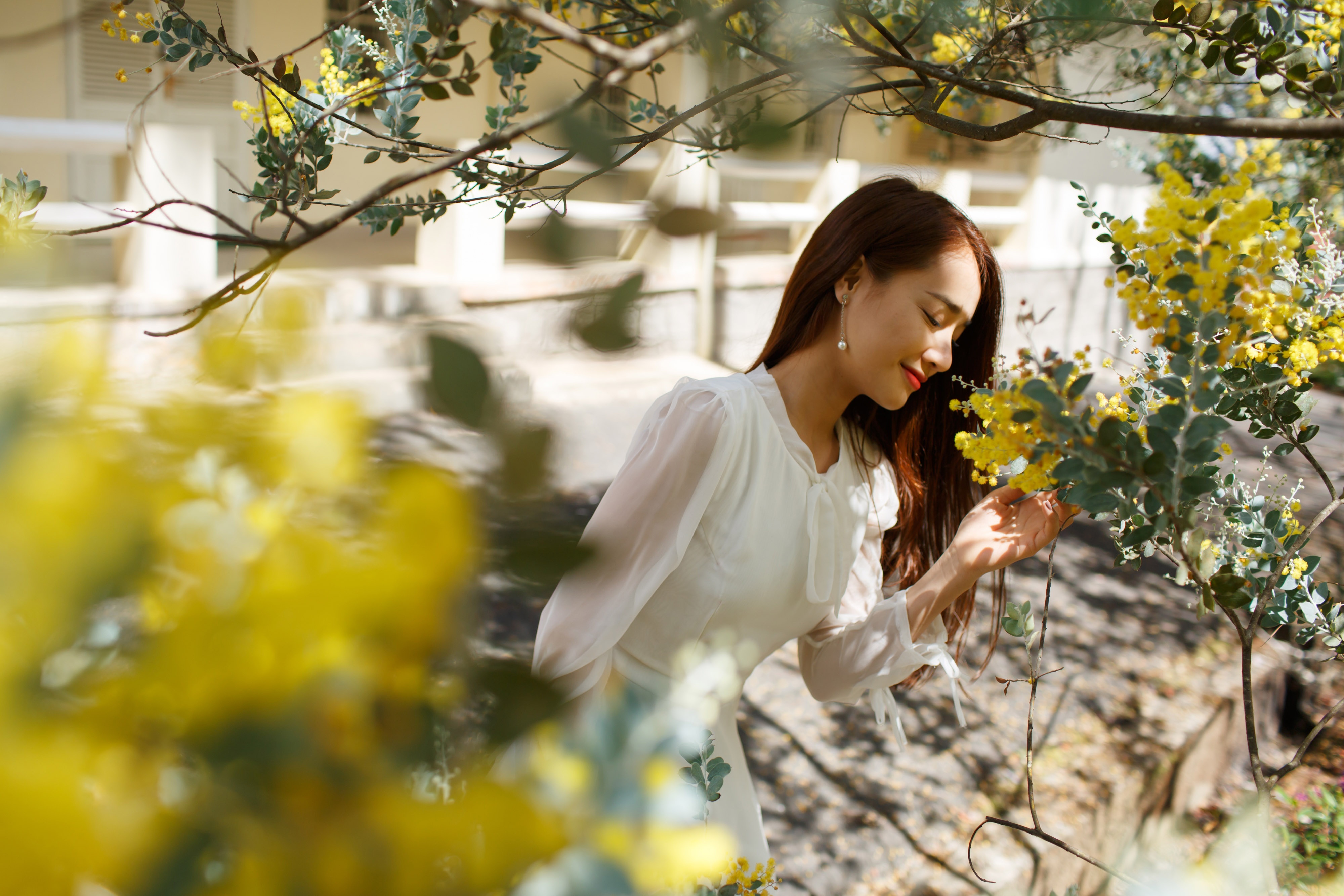 Nha Phuong quay phim Loi Bao o Da Lat anh 3