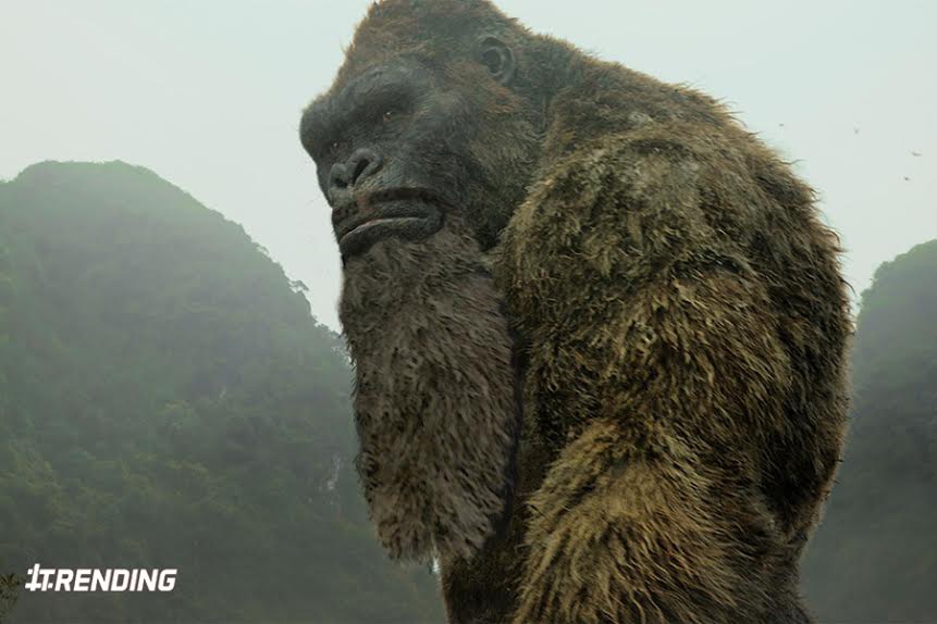 Jordan Vogt-Roberts anh 19