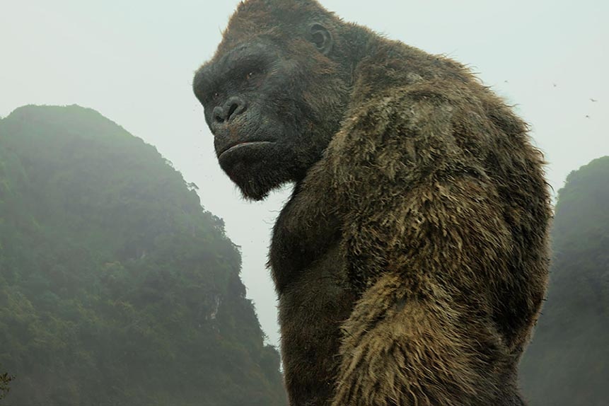 Jordan Vogt-Roberts anh 18