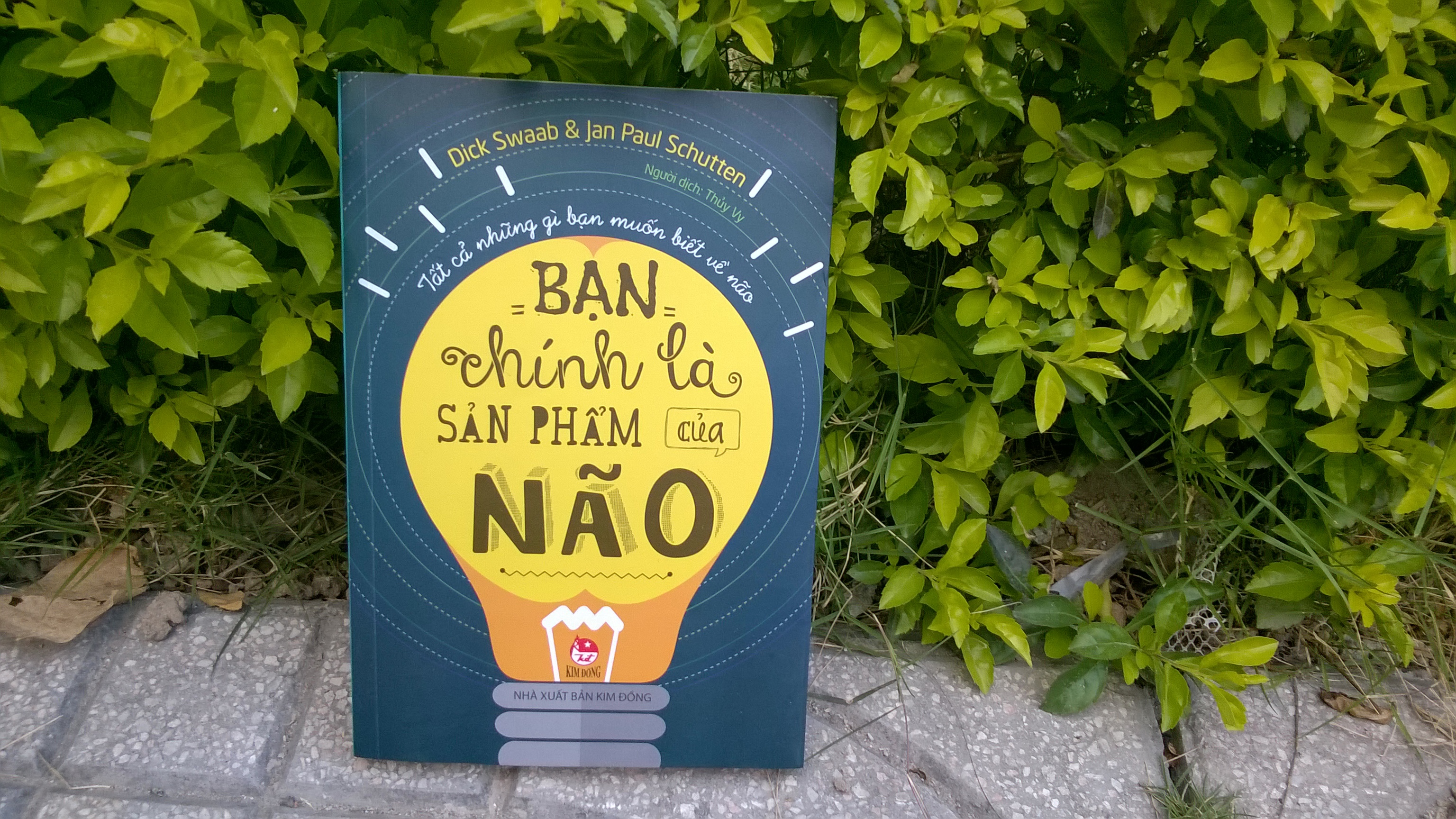 Bo nao quyet dinh ban la ai! hinh anh