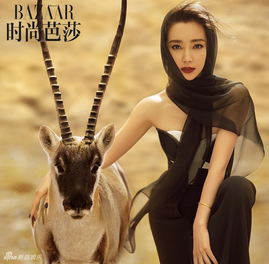 Ly Bang Bang dien vay da hoi giua sa mac anh 2