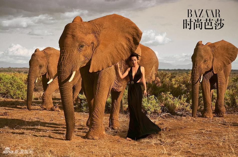 Ly Bang Bang dien vay da hoi giua sa mac anh 5