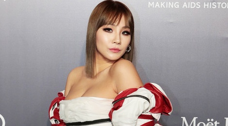 Nhung trang phuc tham hoa cua sao Han hinh anh