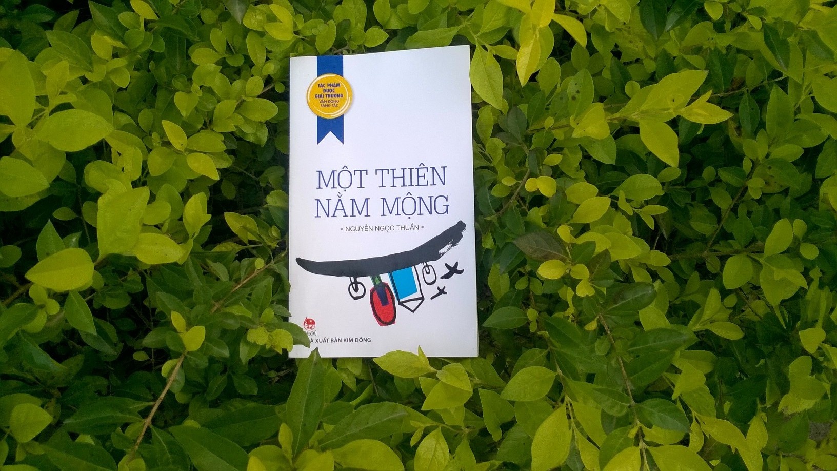 Nhung giac mo tho au, xin dung bo di! hinh anh