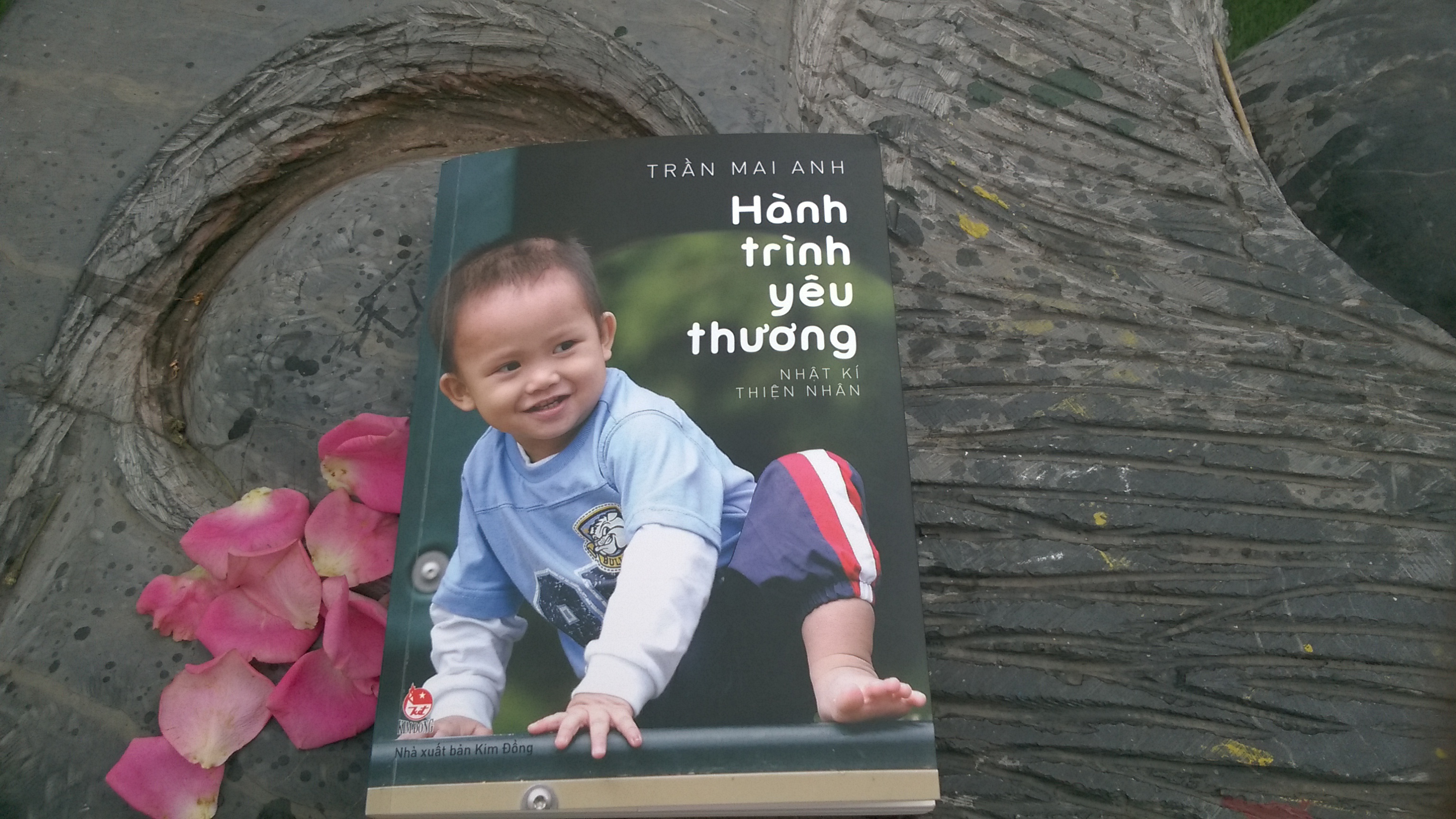 Thien Nhan va hanh trinh chan chua tinh yeu cua me Coi hinh anh