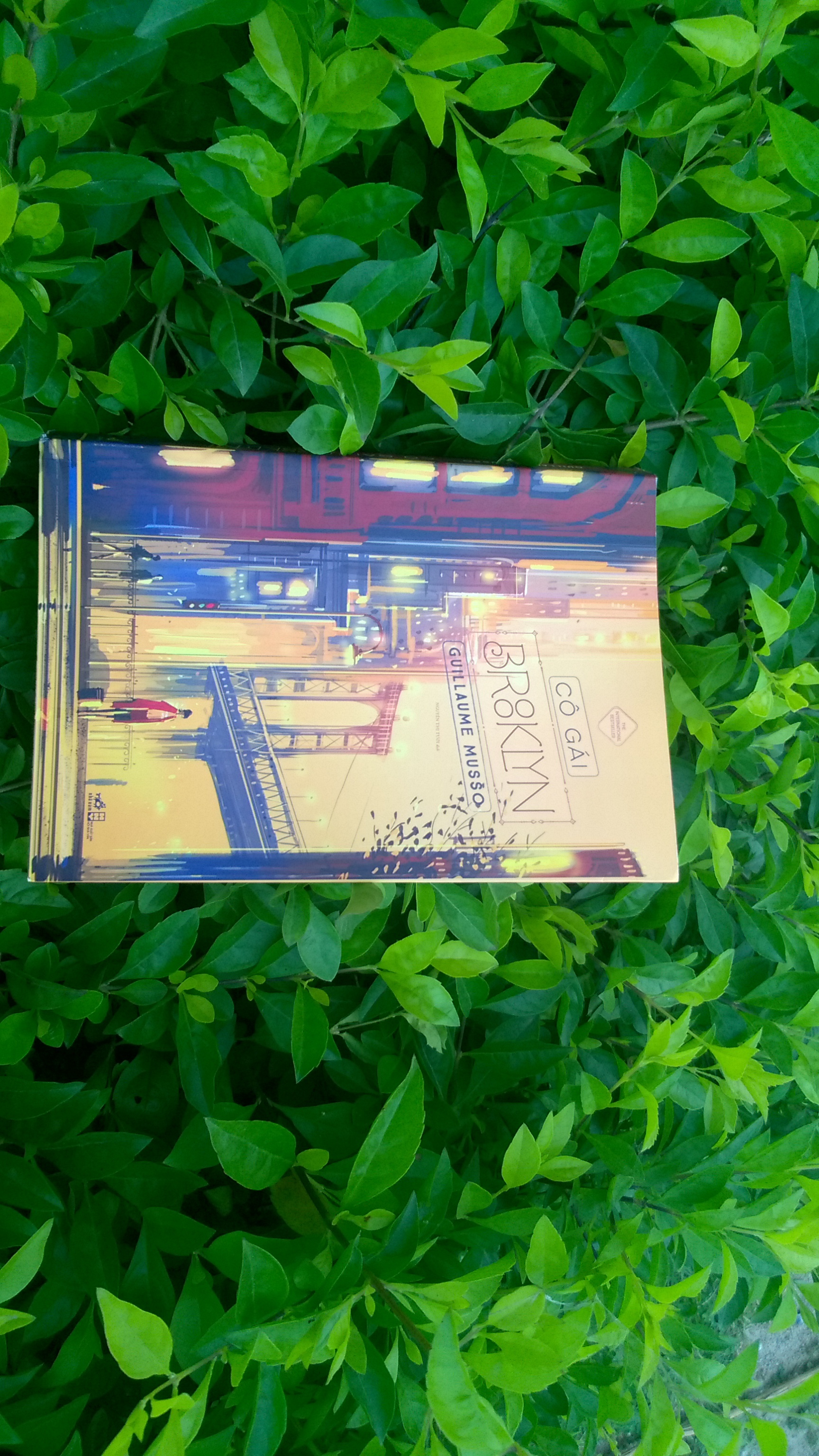 Cô gái Brooklyn ảnh 1 Co gai Brooklyn anh 1