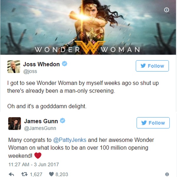 Loạt minh tinh Hollywood hết lời khen ‘Wonder Woman’ ảnh 3 Loat minh tinh Hollywood het loi khen ‘Wonder Woman’ anh 3