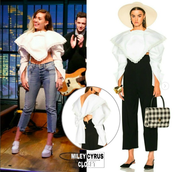 Tủ đồ hiệu của Miley Cyrus ảnh 8 Tu do hieu cua Miley Cyrus anh 8