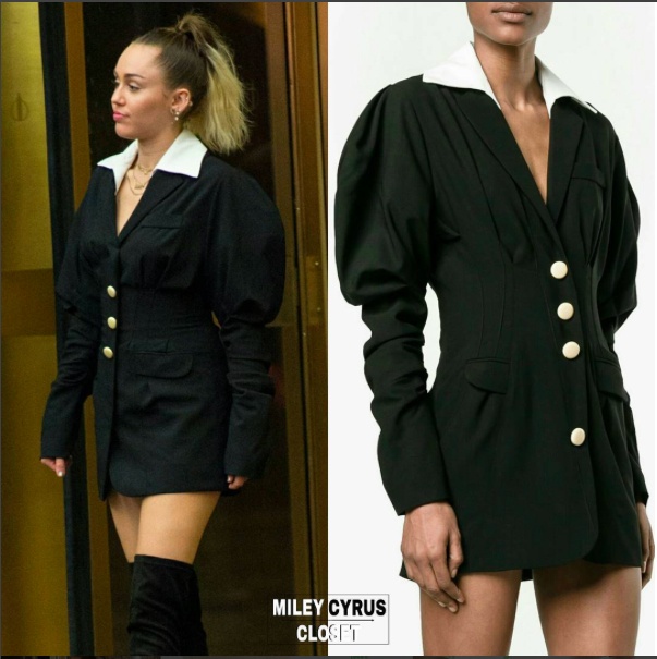 Tủ đồ hiệu của Miley Cyrus ảnh 1 Tu do hieu cua Miley Cyrus anh 1