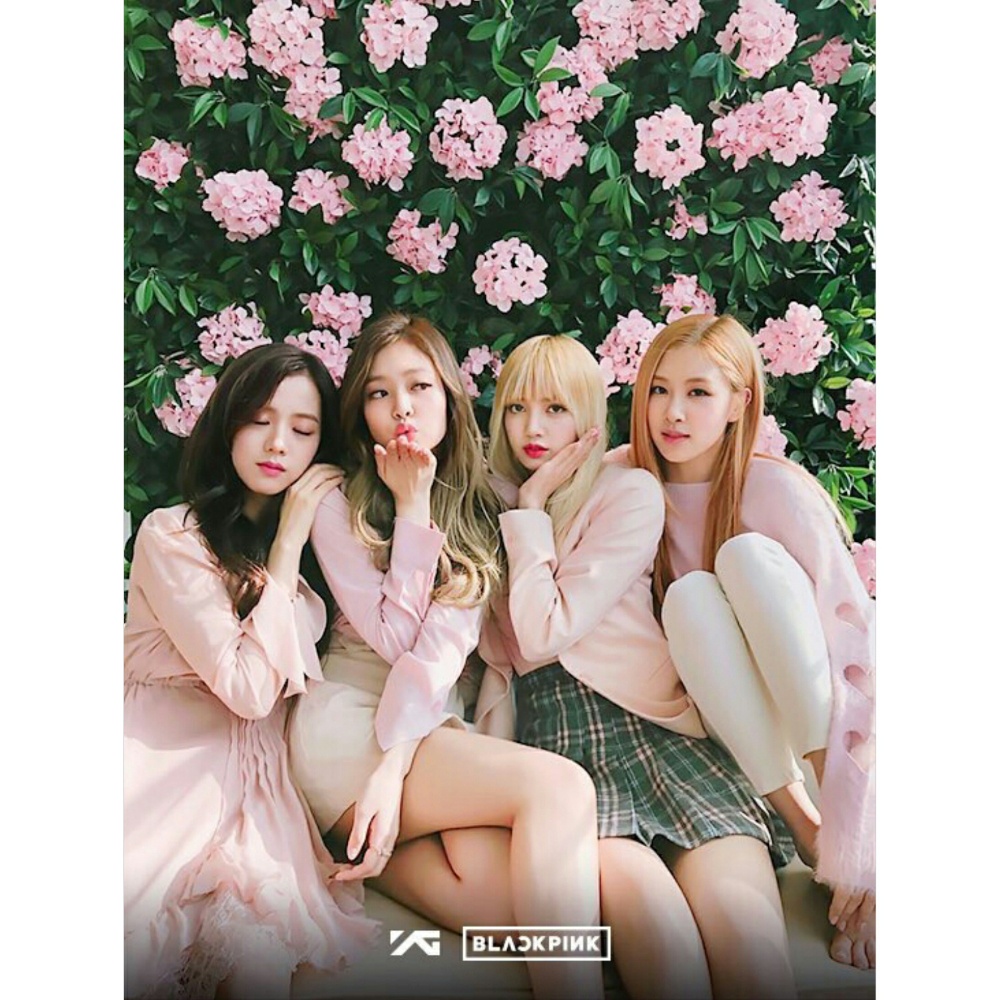 Black Pink – ‘nguoi thua ke’ xuat sac cua 2NE1 anh 11