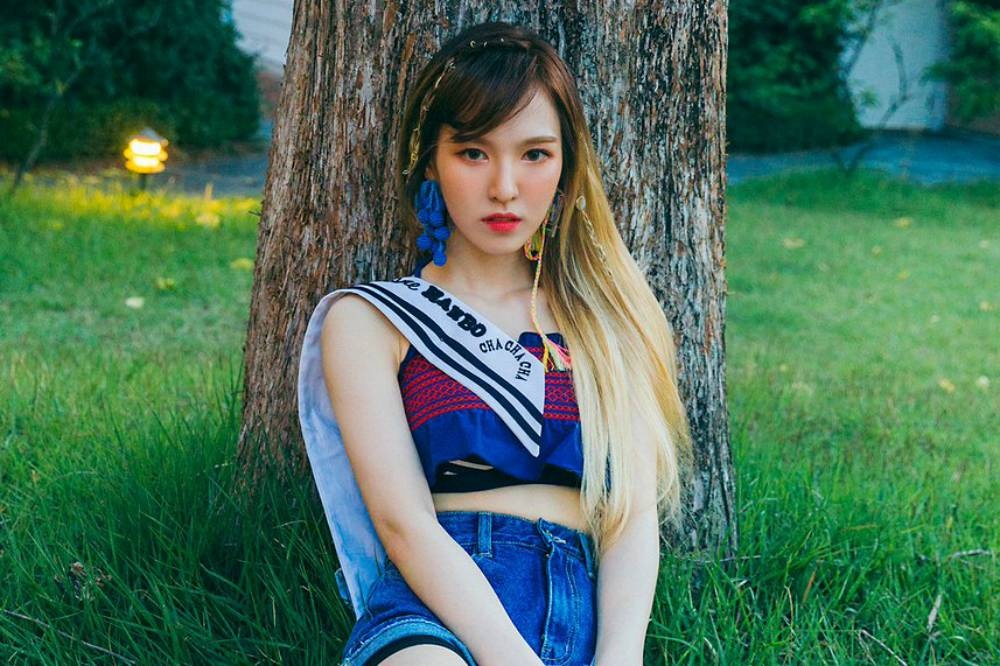 Nhung idol pha vo dinh kien cua cong chung ve 'nghe si nao rong' anh 7