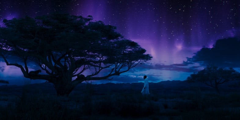 Trailer 2 ‘Black Panther’ he lo nhung tinh tiet hap dan anh 5