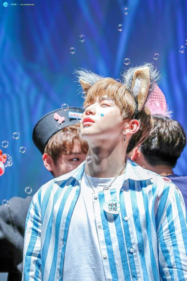 Kang Daniel anh 11