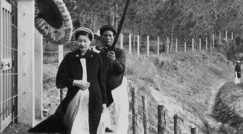 Cung An Dinh va noi long hoang hau Nam Phuong hinh anh