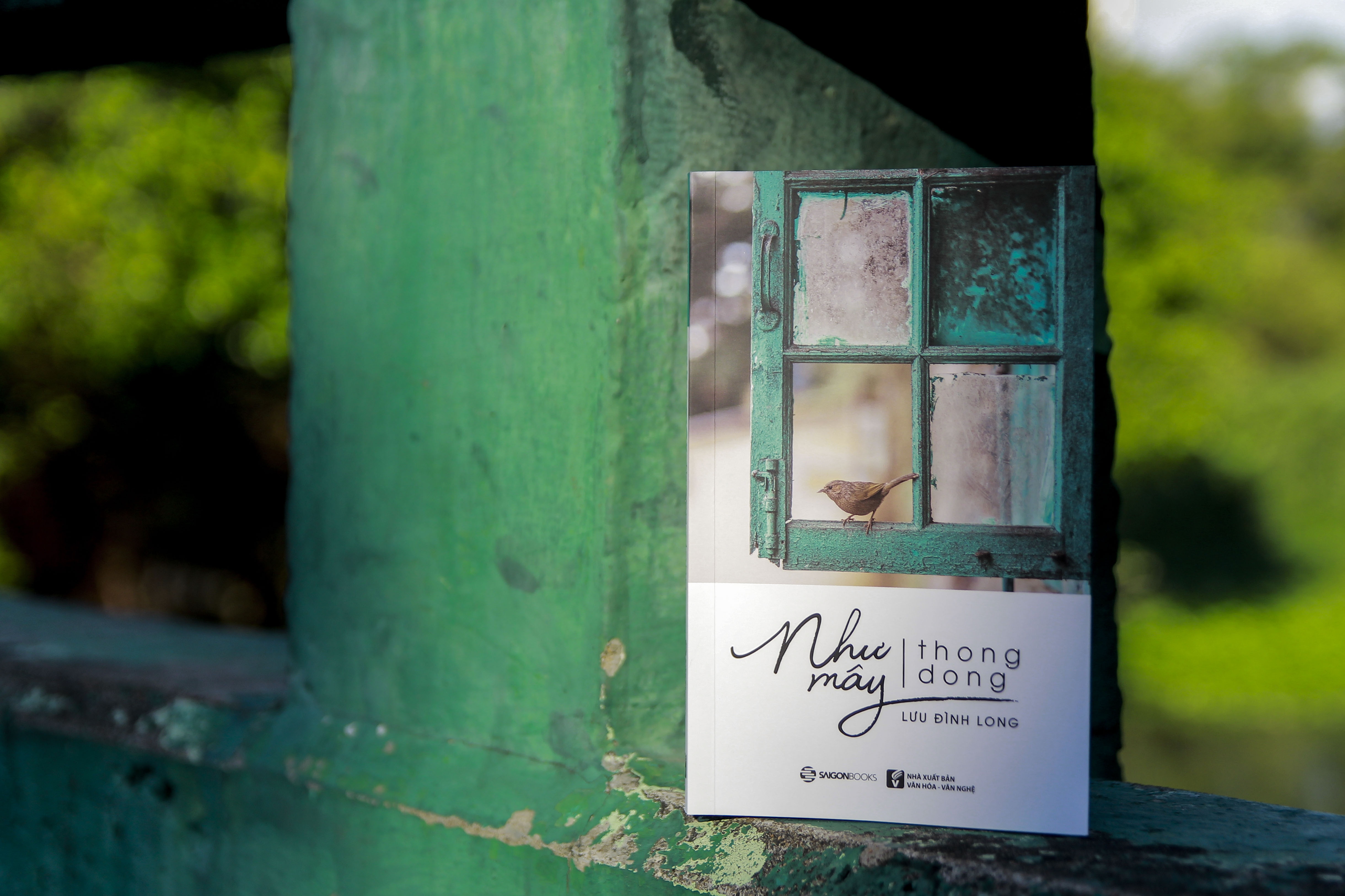 Như mây thong dong của Lưu Đình Long ảnh 1 Nhu may thong dong cua Luu Dinh Long anh 1