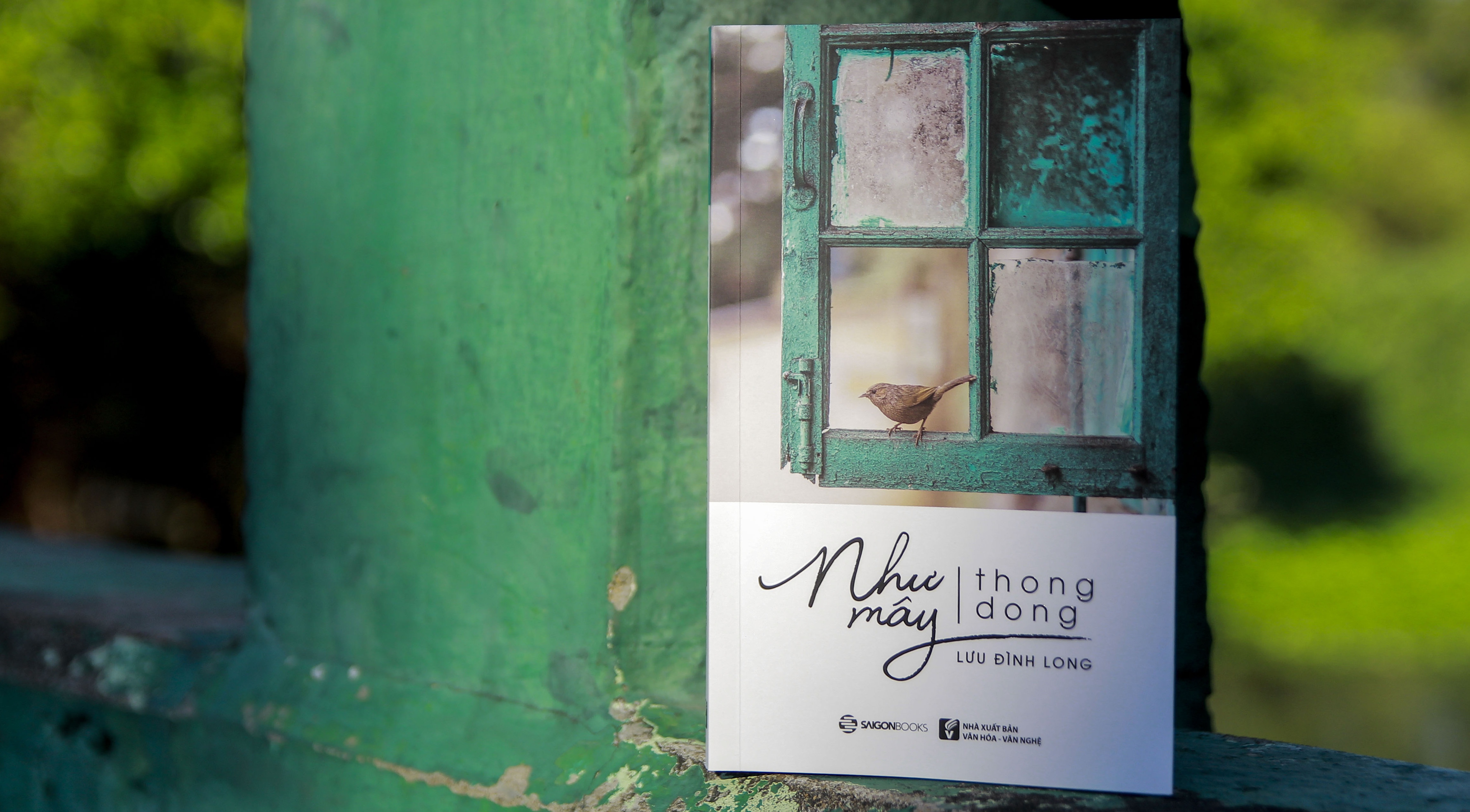 Nhung van de cua nguoi tre hom nay qua goc nhin cua Luu Dinh Long hinh anh