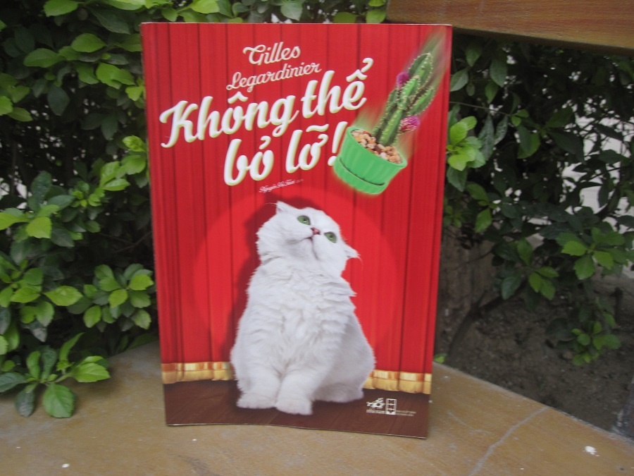 De duoc yeu, doi khi chi can mot trai tim can dam hinh anh