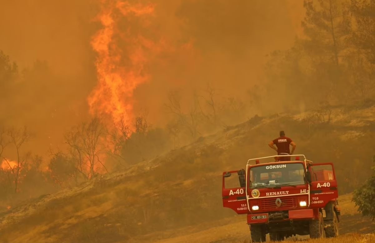 Hon 40 vu chay rung nhan chim mien Nam Tho Nhi Ky trong bien lua hinh anh