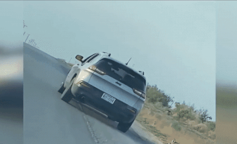 Dan mang My buc xuc vi video chu cho Husky bi bo roi hinh anh