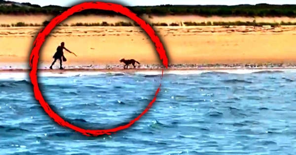 Nguoi phu nu bi cho soi ruot duoi tren bai bien o My hinh anh