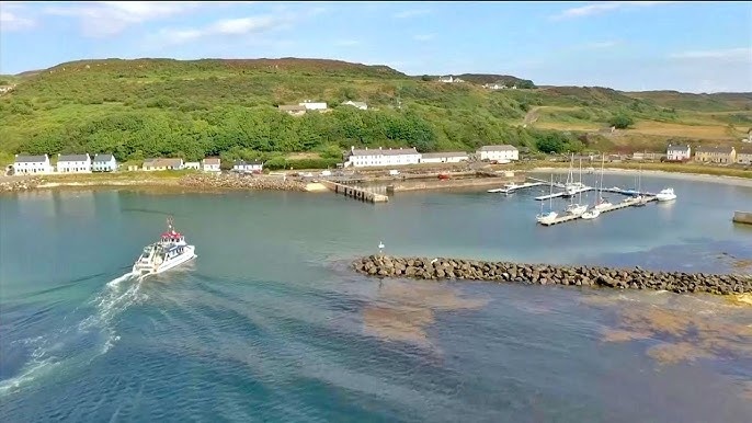 Dao ti hon chong bien doi khi hau hinh anh