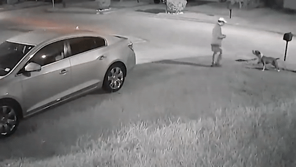 Cho Pitbull hung hang tan cong nguoi di duong o My hinh anh