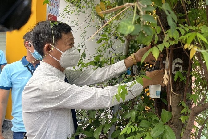 Nuoi muoi Wolbachia chong sot xuat huyet o TP.HCM hinh anh