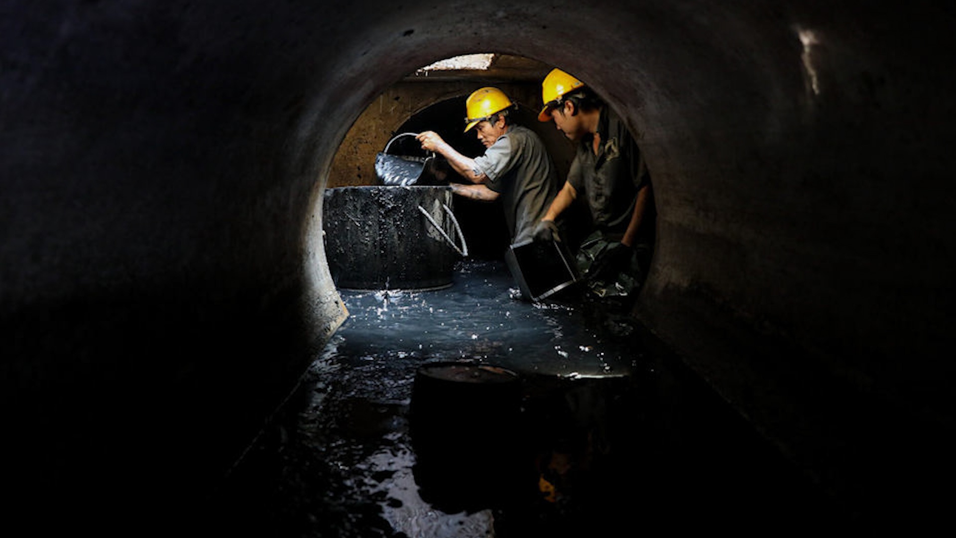 Gom rac duoi long dat hinh anh